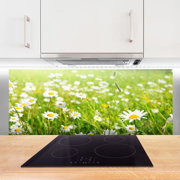 Nástenný panel  Lúka sedmokrásky príroda 125x50 cm