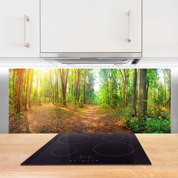 Nástenný panel  Les príroda 125x50 cm