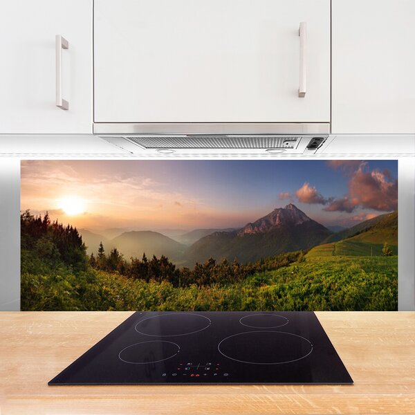 Nástenný panel  Hora les príroda 125x50 cm