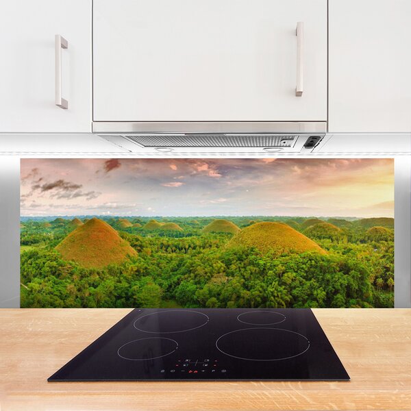 Nástenný panel  Les príroda 125x50 cm
