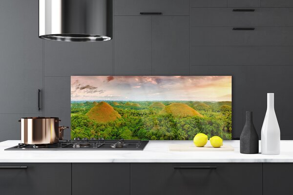 Nástenný panel  Les príroda 125x50 cm
