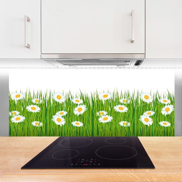 Nástenný panel  Tráva sedmokrásky príroda 125x50 cm