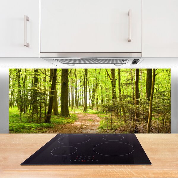Nástenný panel  Les príroda 125x50 cm