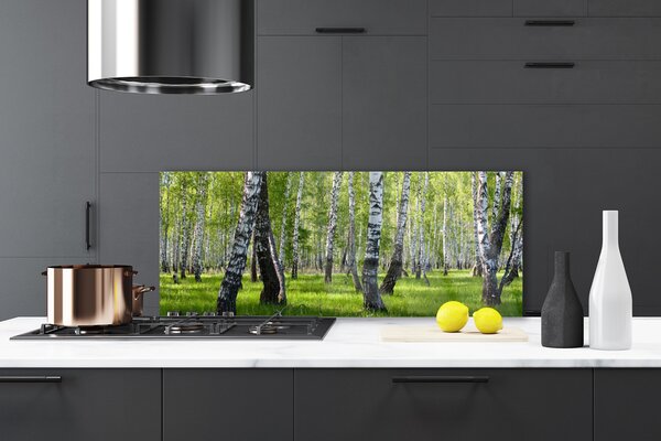 Nástenný panel  Les príroda 125x50 cm