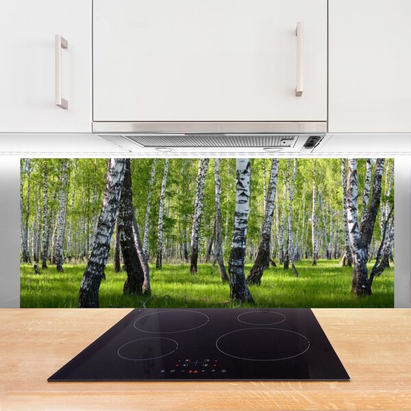 Nástenný panel  Les príroda 125x50 cm