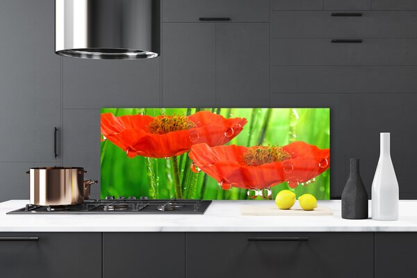 Nástenný panel  Maky rastlina príroda 125x50 cm