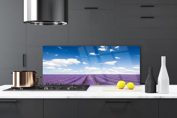 Nástenný panel  Lúka kvety príroda rastlina 125x50 cm
