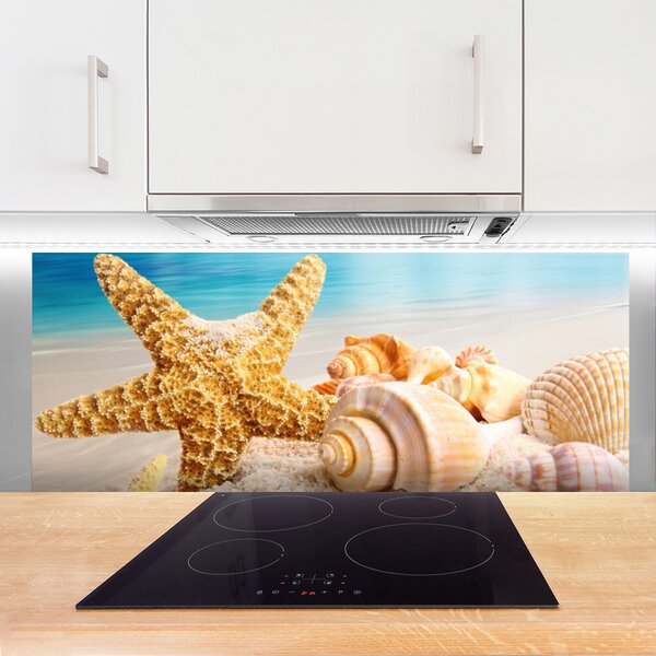Nástenný panel  Hviezdice mušle umenie 125x50 cm