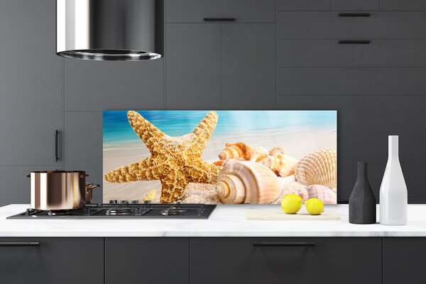 Nástenný panel  Hviezdice mušle umenie 125x50 cm
