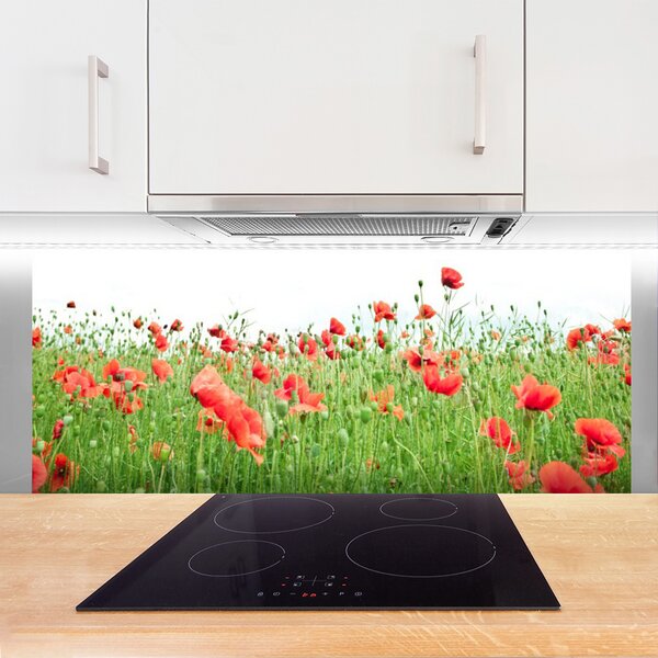 Nástenný panel  Maky rastlina príroda 125x50 cm