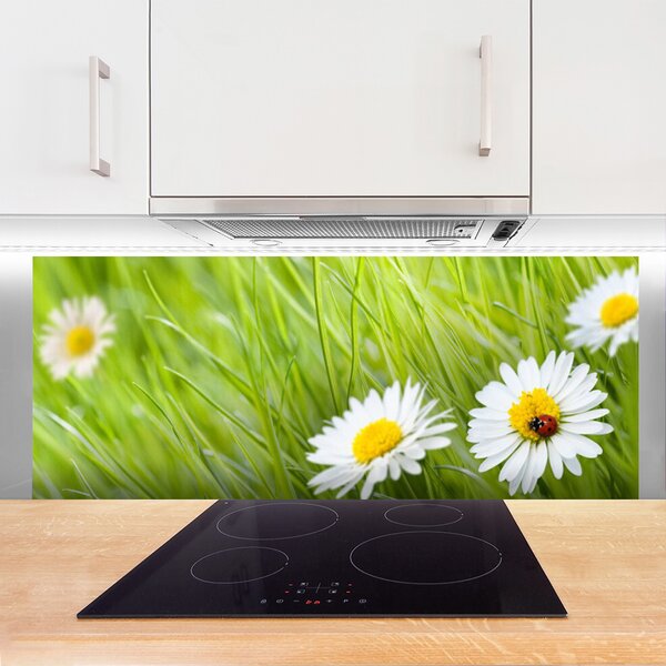Nástenný panel  Tráva sedmokrásky príroda 125x50 cm