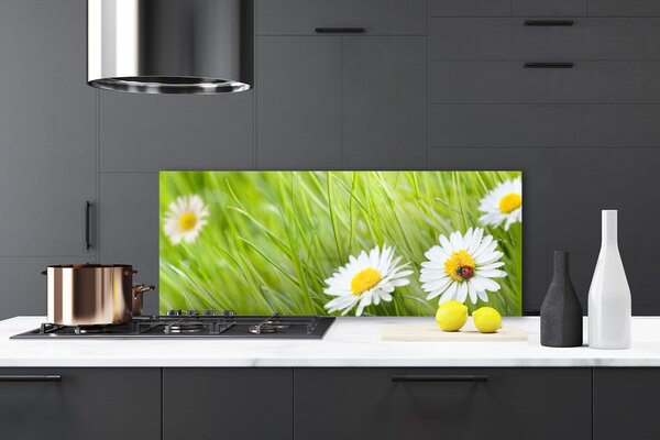 Nástenný panel  Tráva sedmokrásky príroda 125x50 cm
