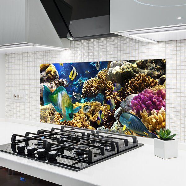 Nástenný panel  Koralový útes príroda 120x60 cm