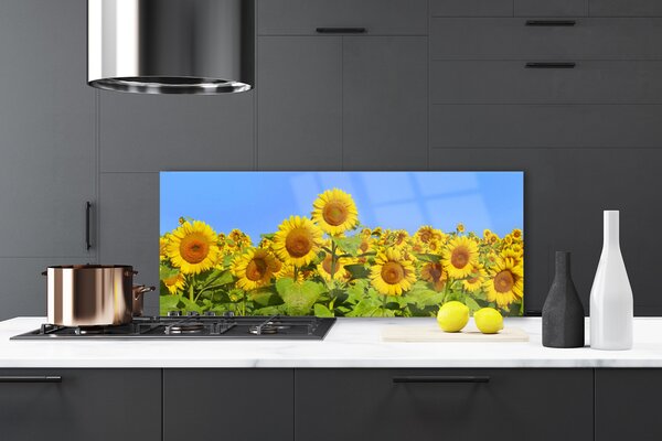 Nástenný panel  Slnečnica kvet rastlina 125x50 cm