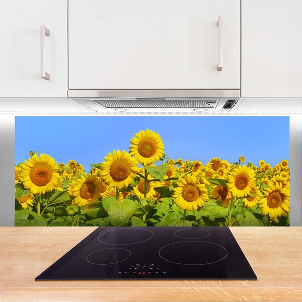 Nástenný panel  Slnečnica kvet rastlina 125x50 cm