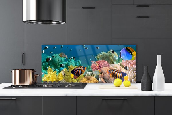 Nástenný panel  Koralový útes príroda 125x50 cm