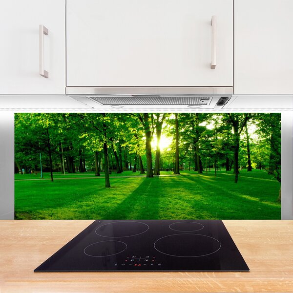 Nástenný panel  Les príroda 125x50 cm
