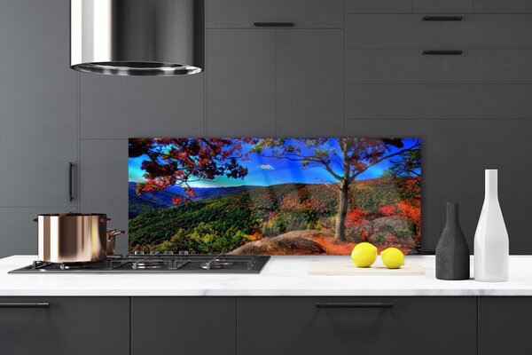 Nástenný panel  Hora les príroda 125x50 cm