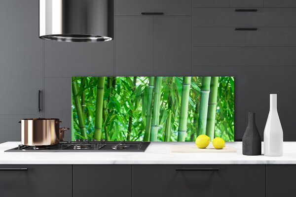 Nástenný panel  Bambus stonka rastlina 125x50 cm