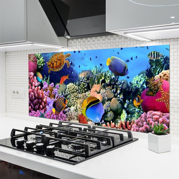 Nástenný panel  Koralový útes príroda 140x70 cm