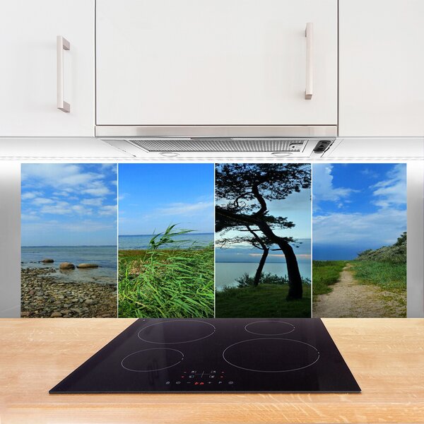 Nástenný panel  Pláž strom príroda 125x50 cm