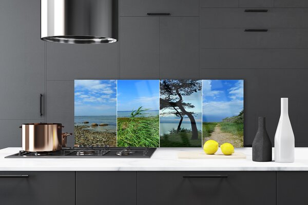 Nástenný panel  Pláž strom príroda 125x50 cm