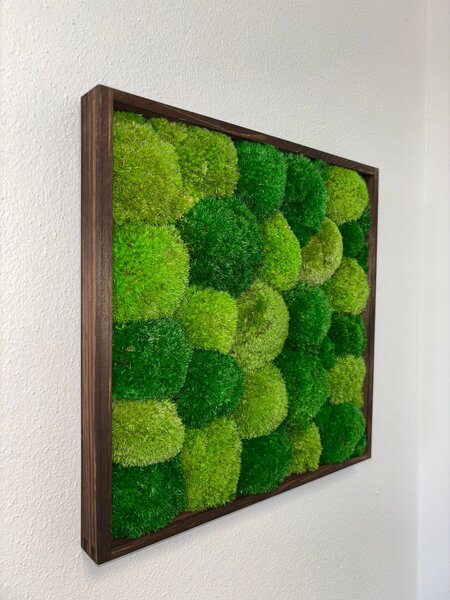 Machový obraz TMH - kopčeky Veľkosť rámu: 20x20cm