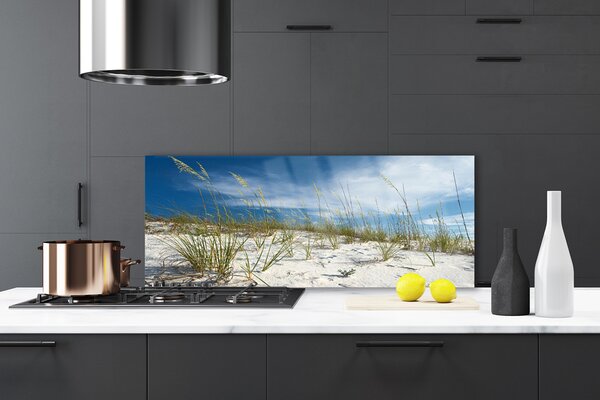 Nástenný panel  Pláž príroda 125x50 cm