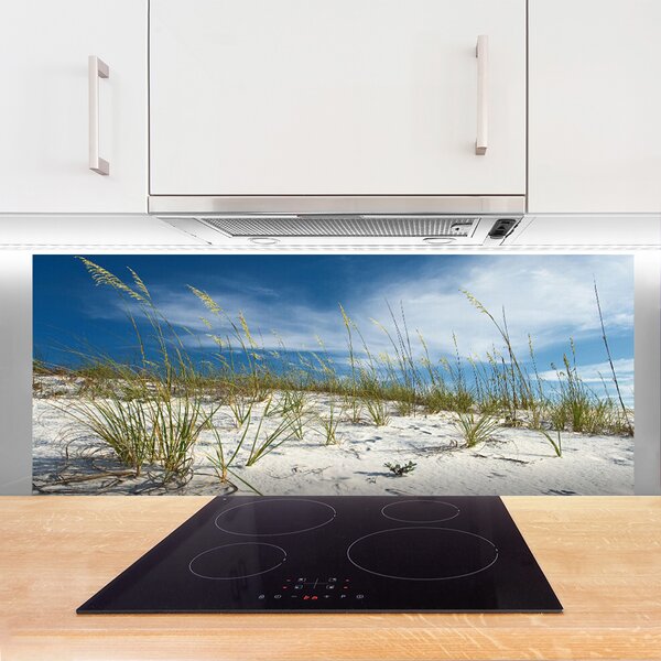 Nástenný panel  Pláž príroda 125x50 cm
