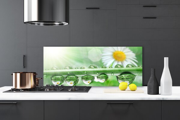 Nástenný panel  Rosa list sedmokrásky príroda 125x50 cm