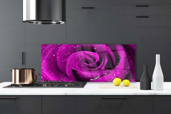 Nástenný panel  Ruže kvet rastlina 125x50 cm