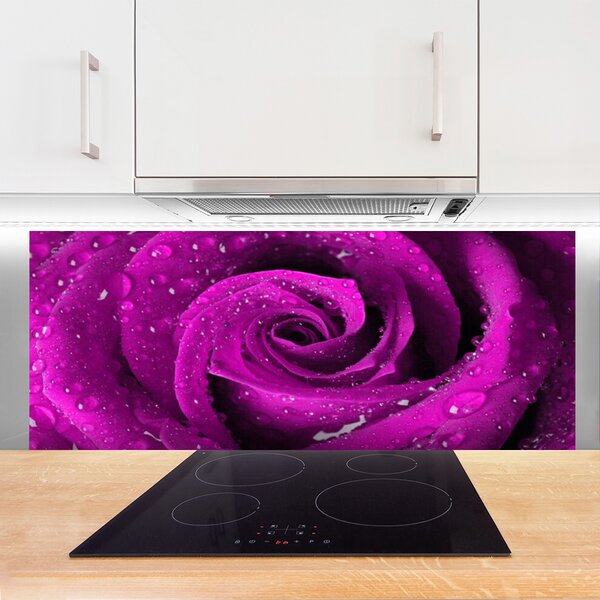 Nástenný panel  Ruže kvet rastlina 125x50 cm