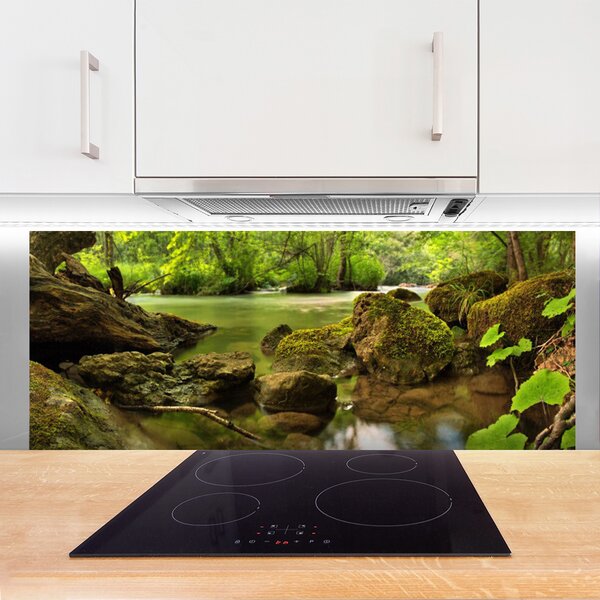 Nástenný panel  Skala jazero príroda 125x50 cm