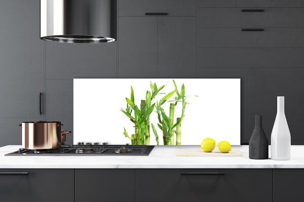 Nástenný panel  Bambus stonka kvet rastlina 125x50 cm
