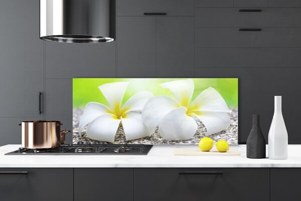 Nástenný panel  Kvety rastlina príroda 125x50 cm