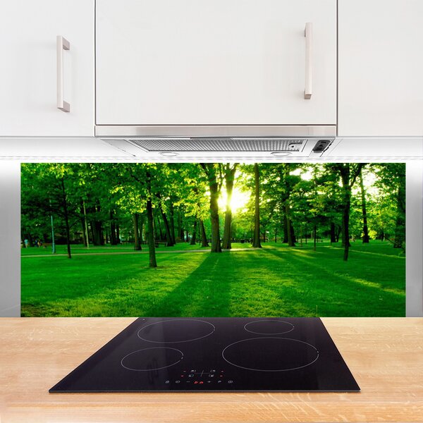 Nástenný panel  Les príroda 125x50 cm