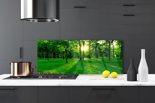 Nástenný panel  Les príroda 125x50 cm