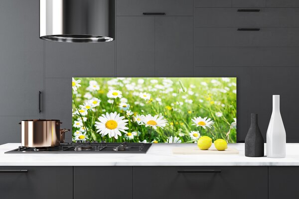 Nástenný panel  Sedmokráska kvet rastlina 125x50 cm