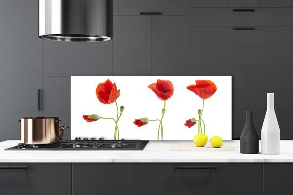 Nástenný panel  Maky rastlina príroda 125x50 cm