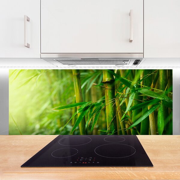 Nástenný panel  Bambus stonky rastlina 125x50 cm