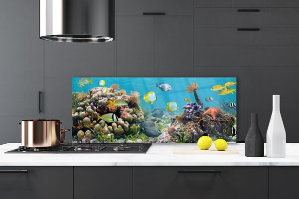 Nástenný panel  Koralový útes príroda 125x50 cm