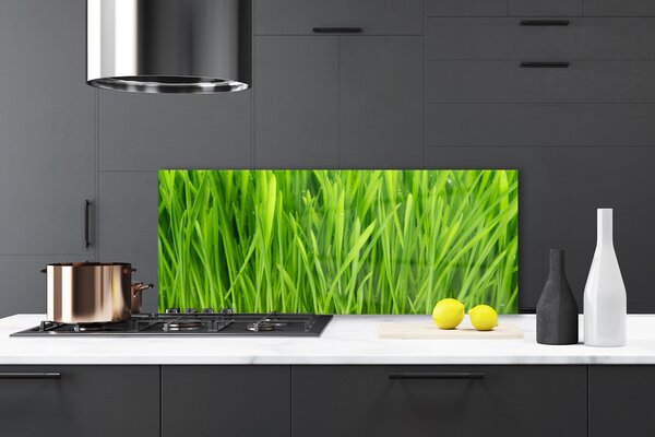 Nástenný panel  Tráva rastlina príroda 125x50 cm
