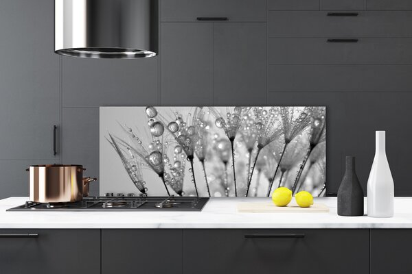Nástenný panel  Púpava rastlina 125x50 cm