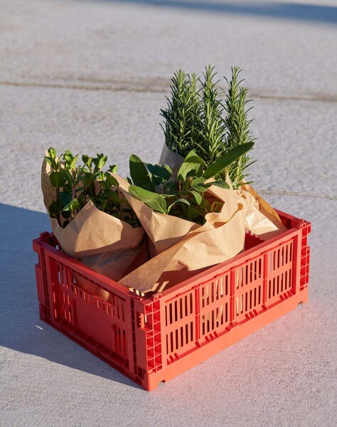 HAY Úložný box Colour Crate Medium, red