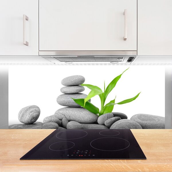 Nástenný panel  Kamene listy umenie 125x50 cm