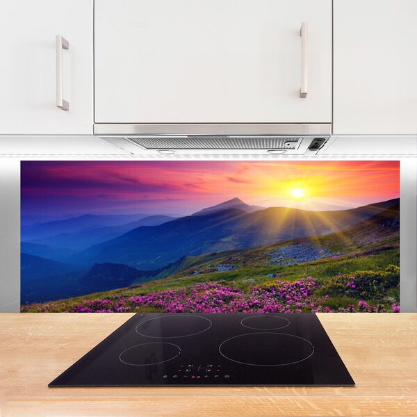 Nástenný panel  Hory kvet lúka krajina 125x50 cm