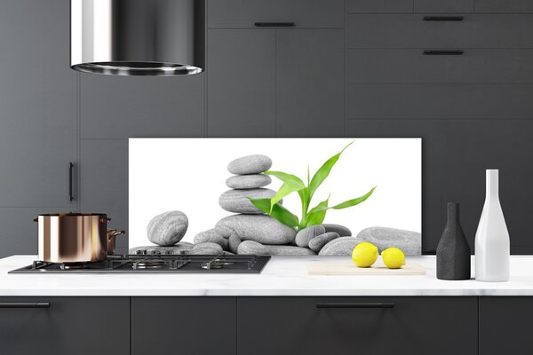 Nástenný panel  Kamene listy umenie 125x50 cm