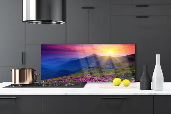 Nástenný panel  Hory kvet lúka krajina 125x50 cm