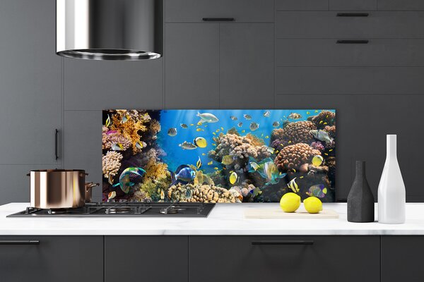 Nástenný panel  Koralový útes príroda 125x50 cm