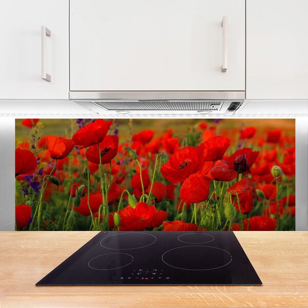 Nástenný panel  Maky rastlina príroda 125x50 cm